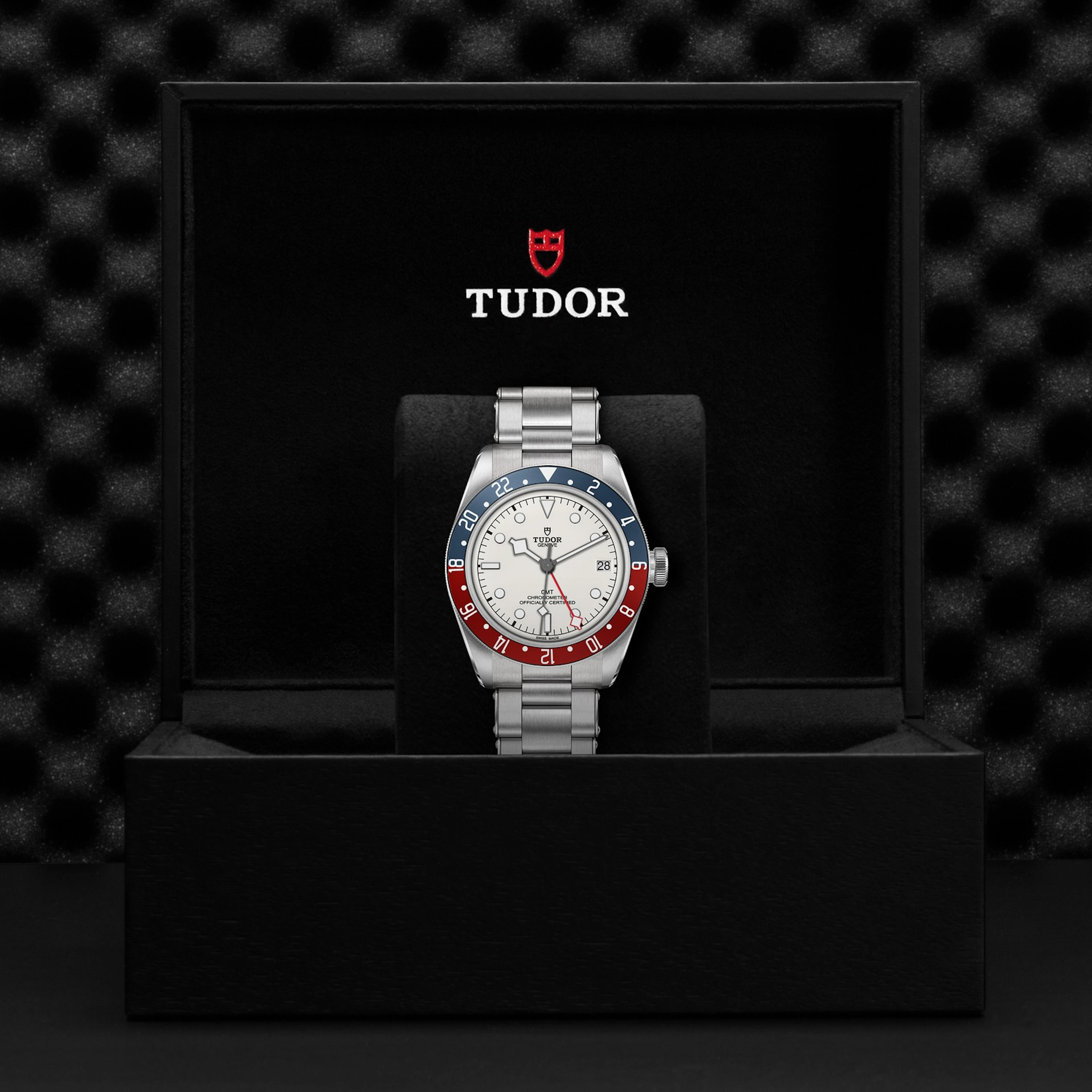Tudor Black Bay