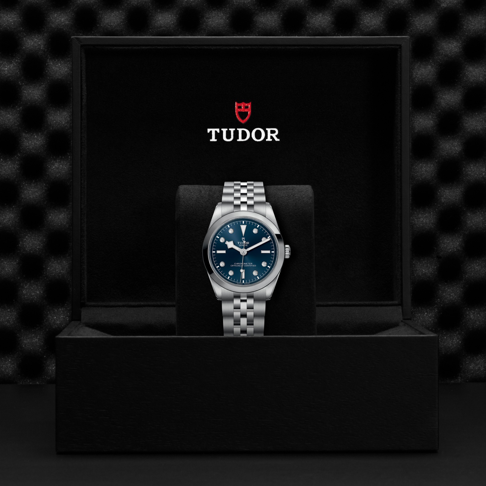 Tudor Black Bay