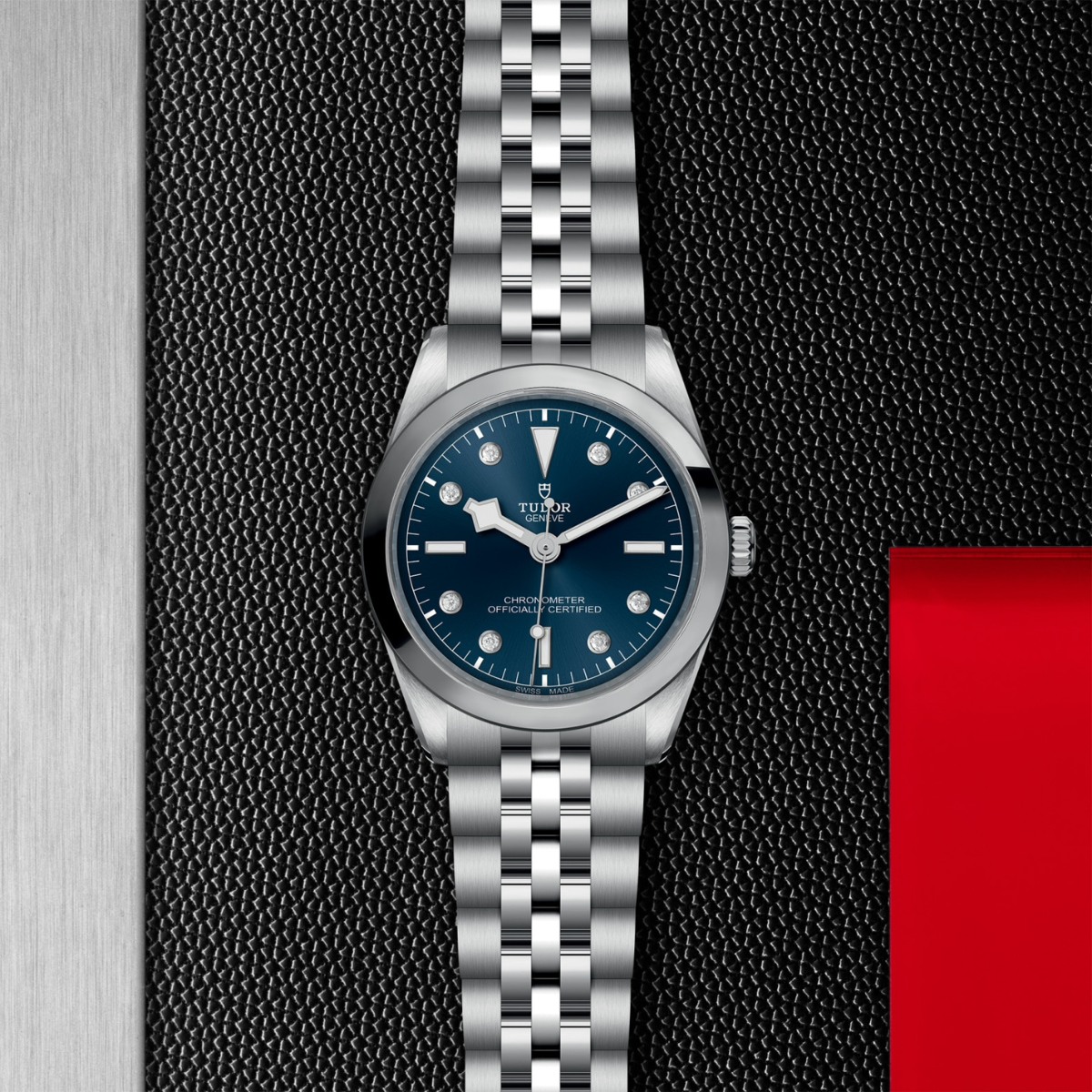 Tudor Black Bay