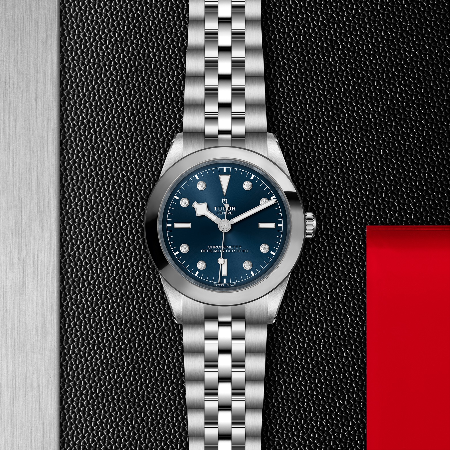 Tudor Black Bay