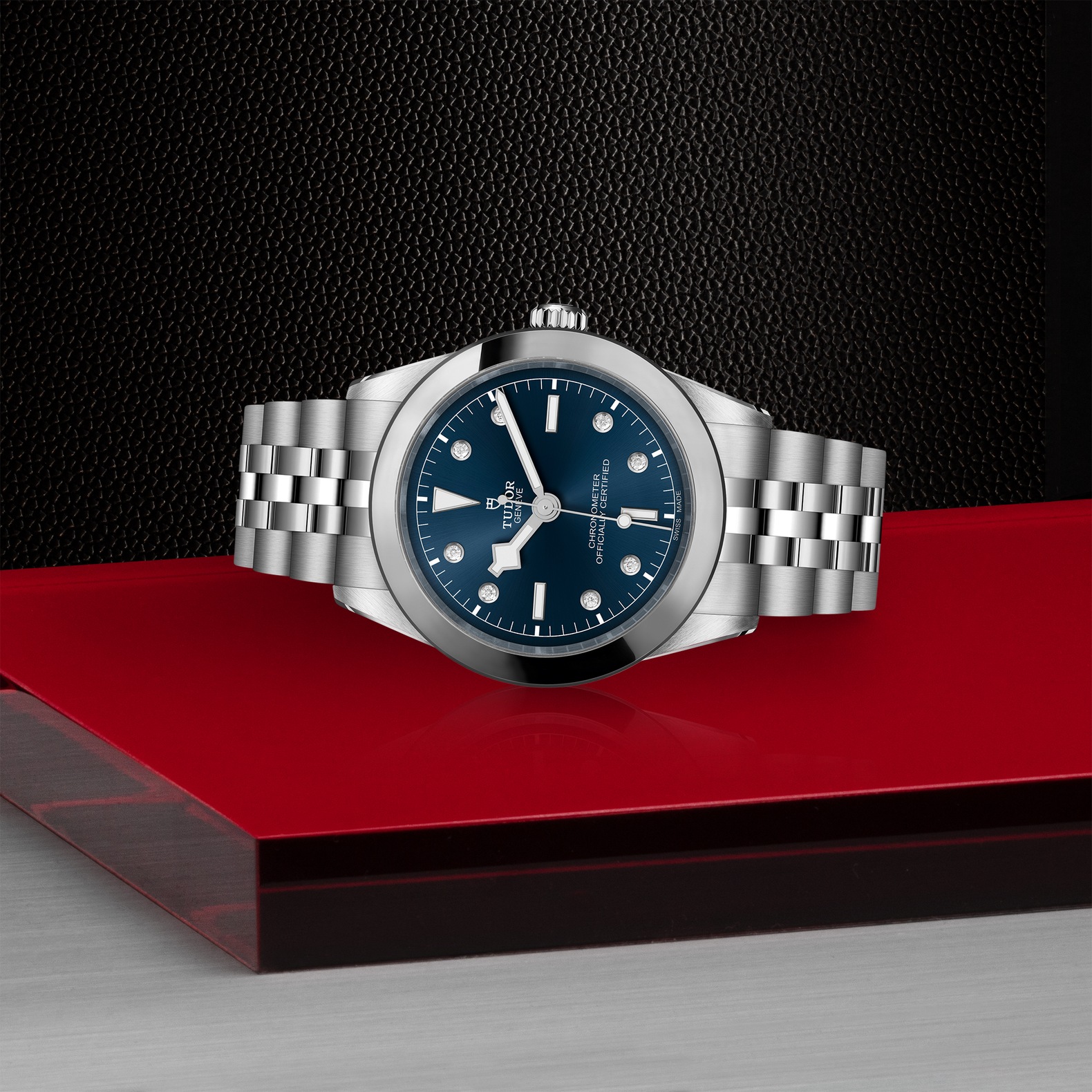 Tudor Black Bay