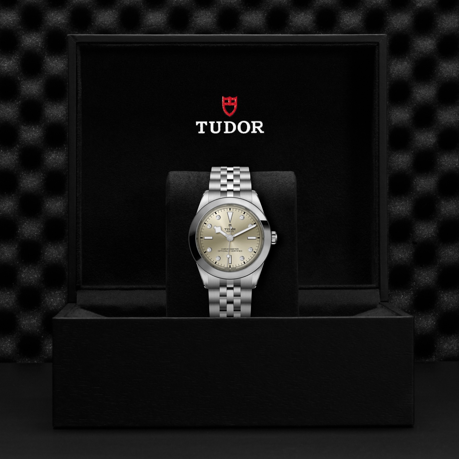 Tudor Black Bay