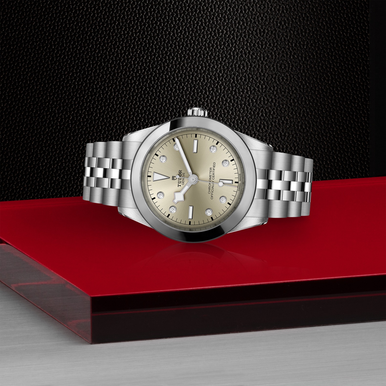 Tudor Black Bay