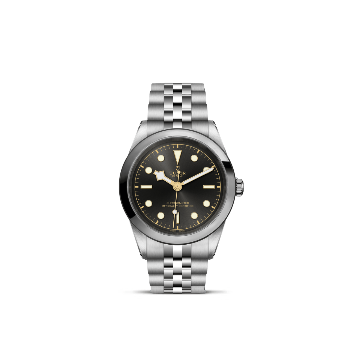 Tudor Black Bay