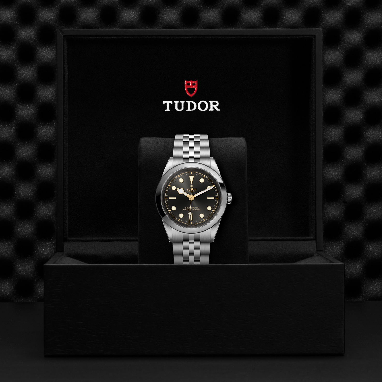 Tudor Black Bay