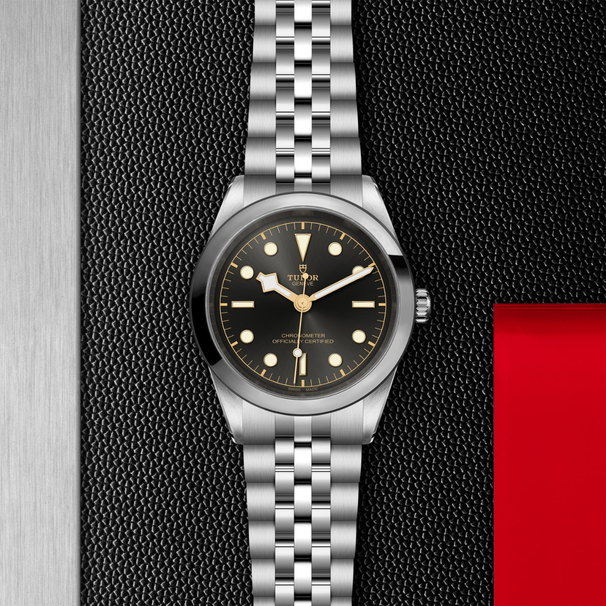 Tudor Black Bay