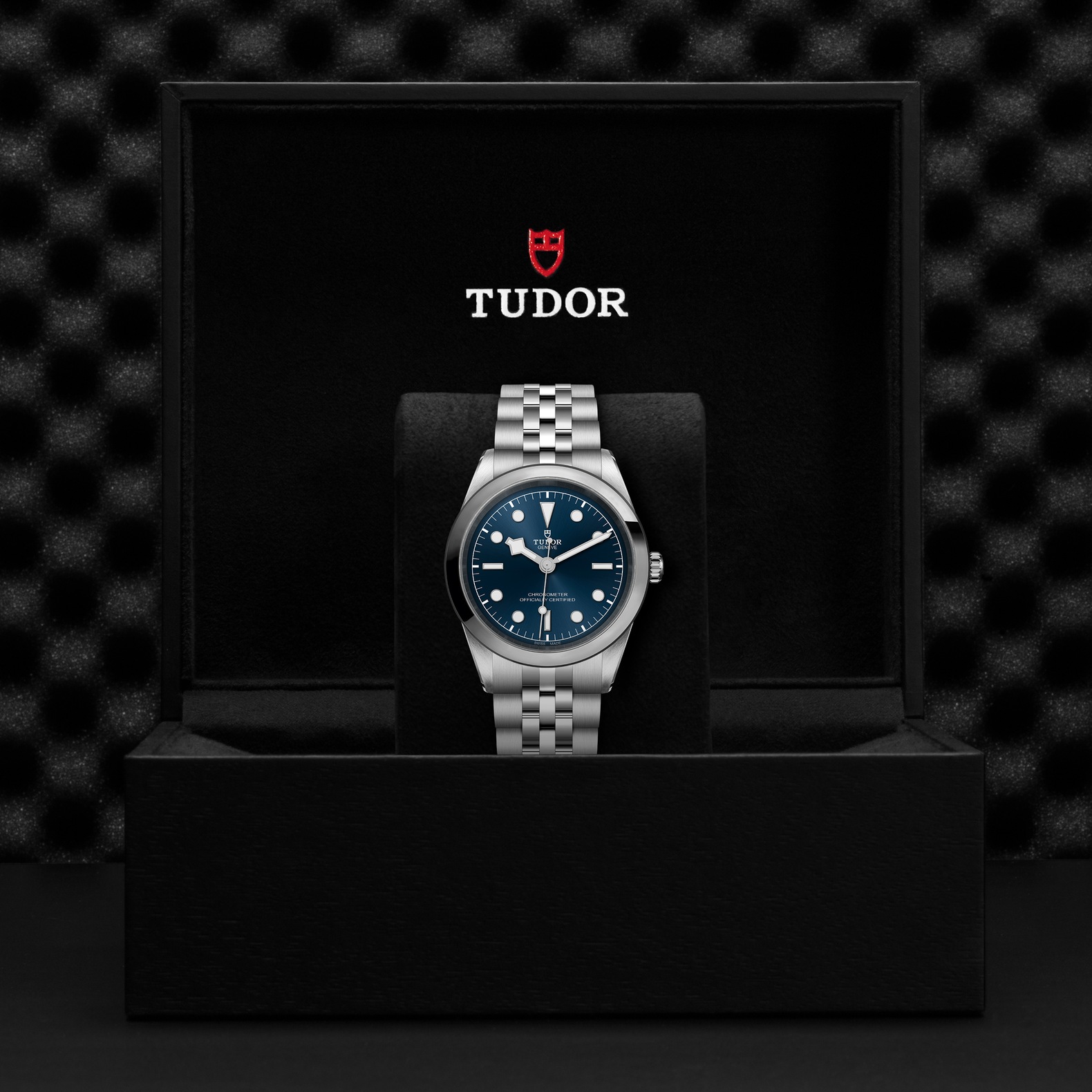 Tudor Black Bay