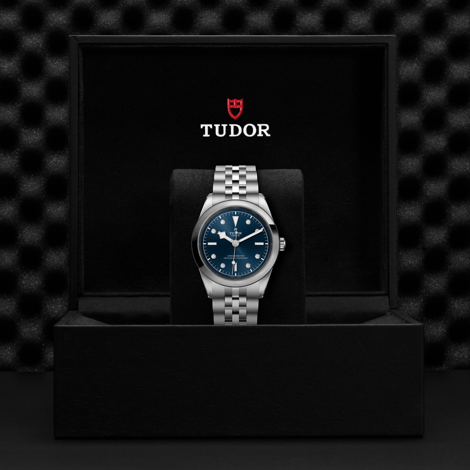Tudor Black Bay