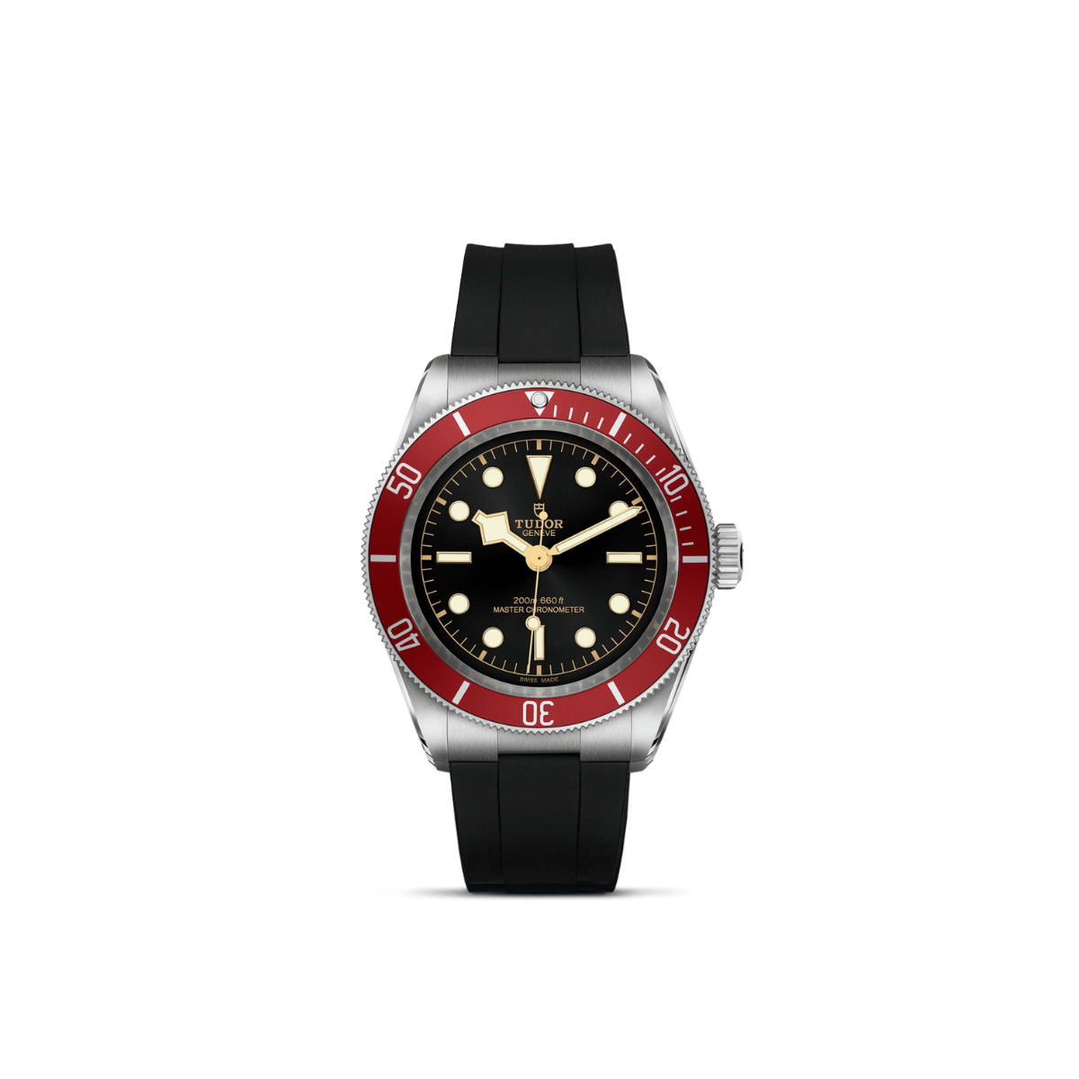 Tudor Black Bay