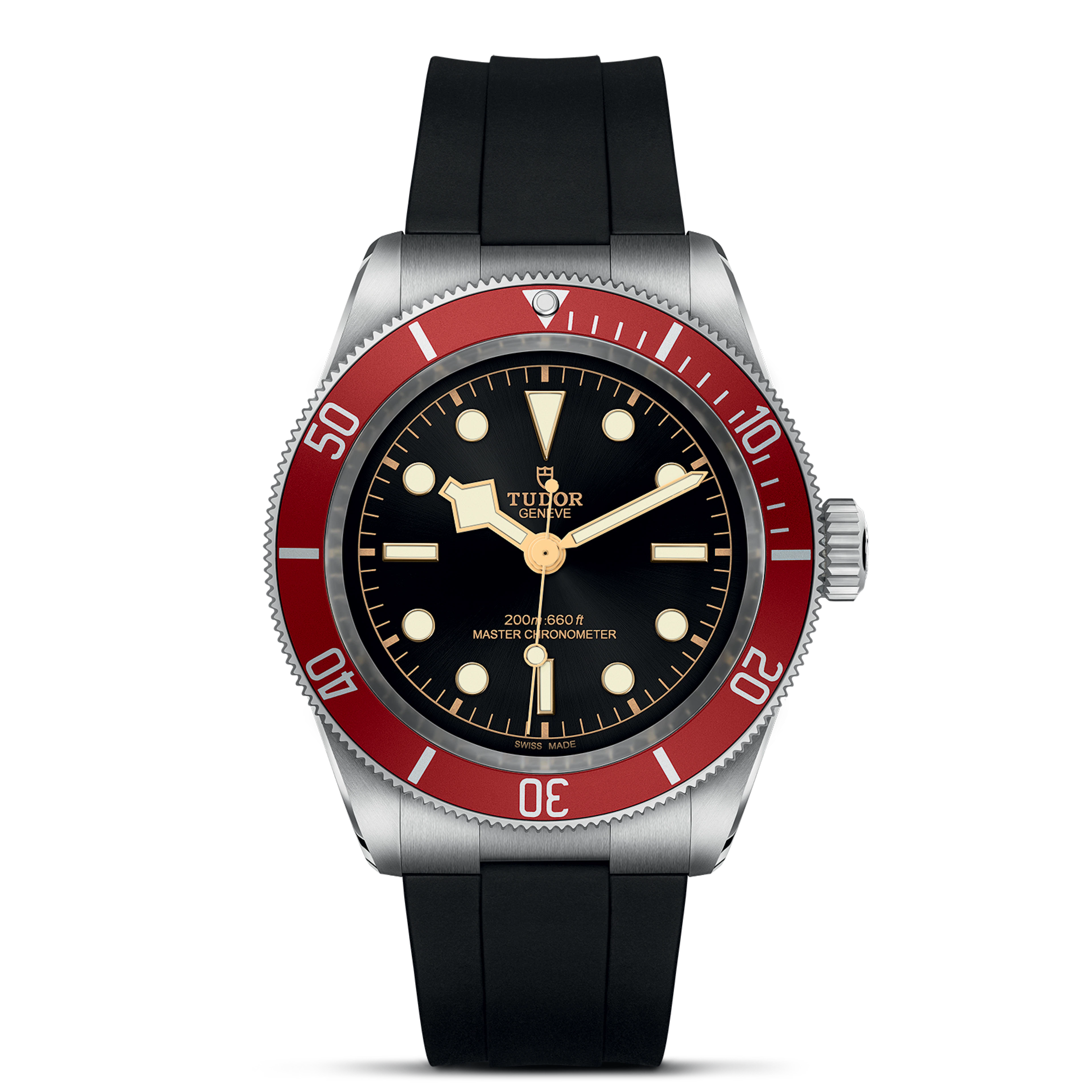 Tudor Black Bay