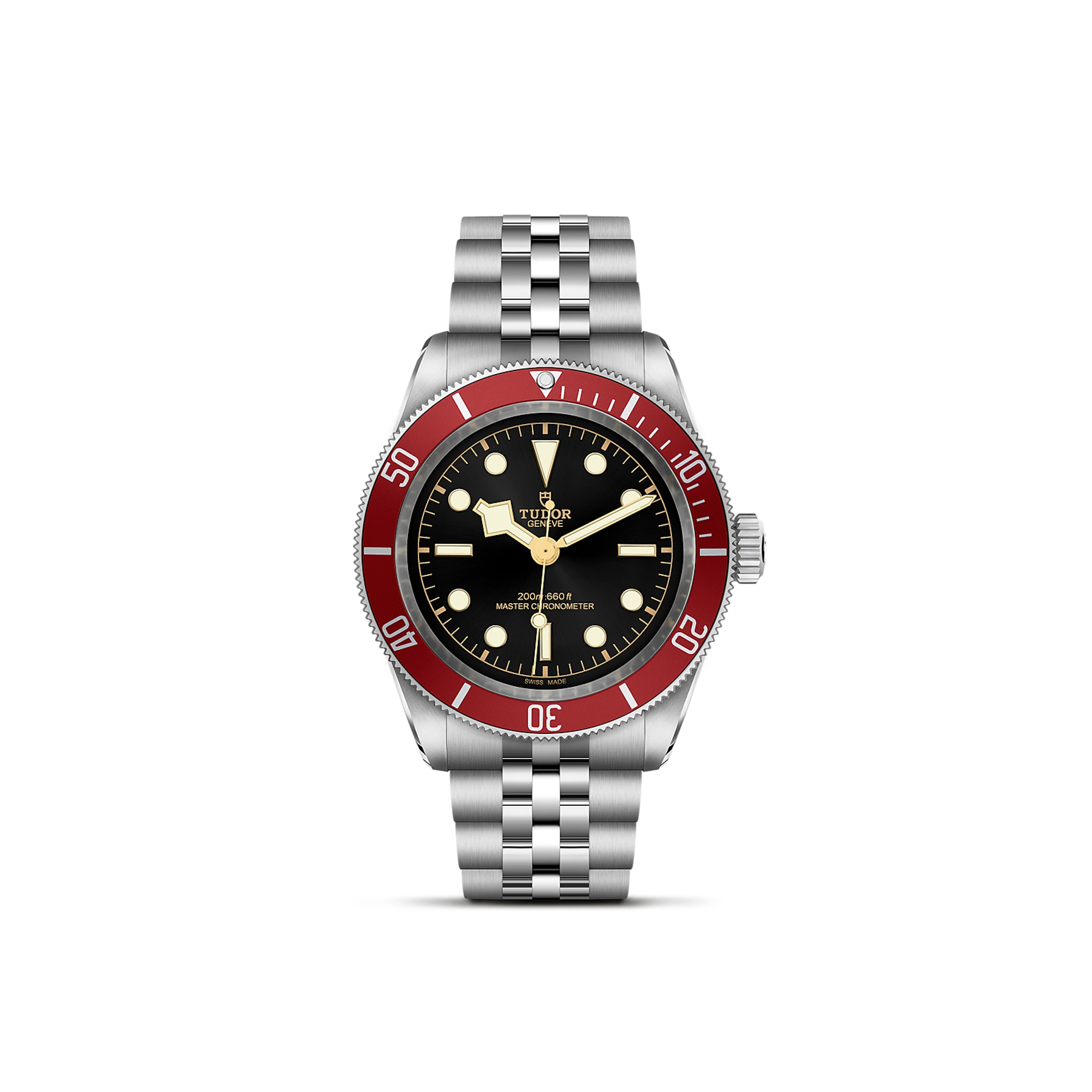 Tudor Black Bay