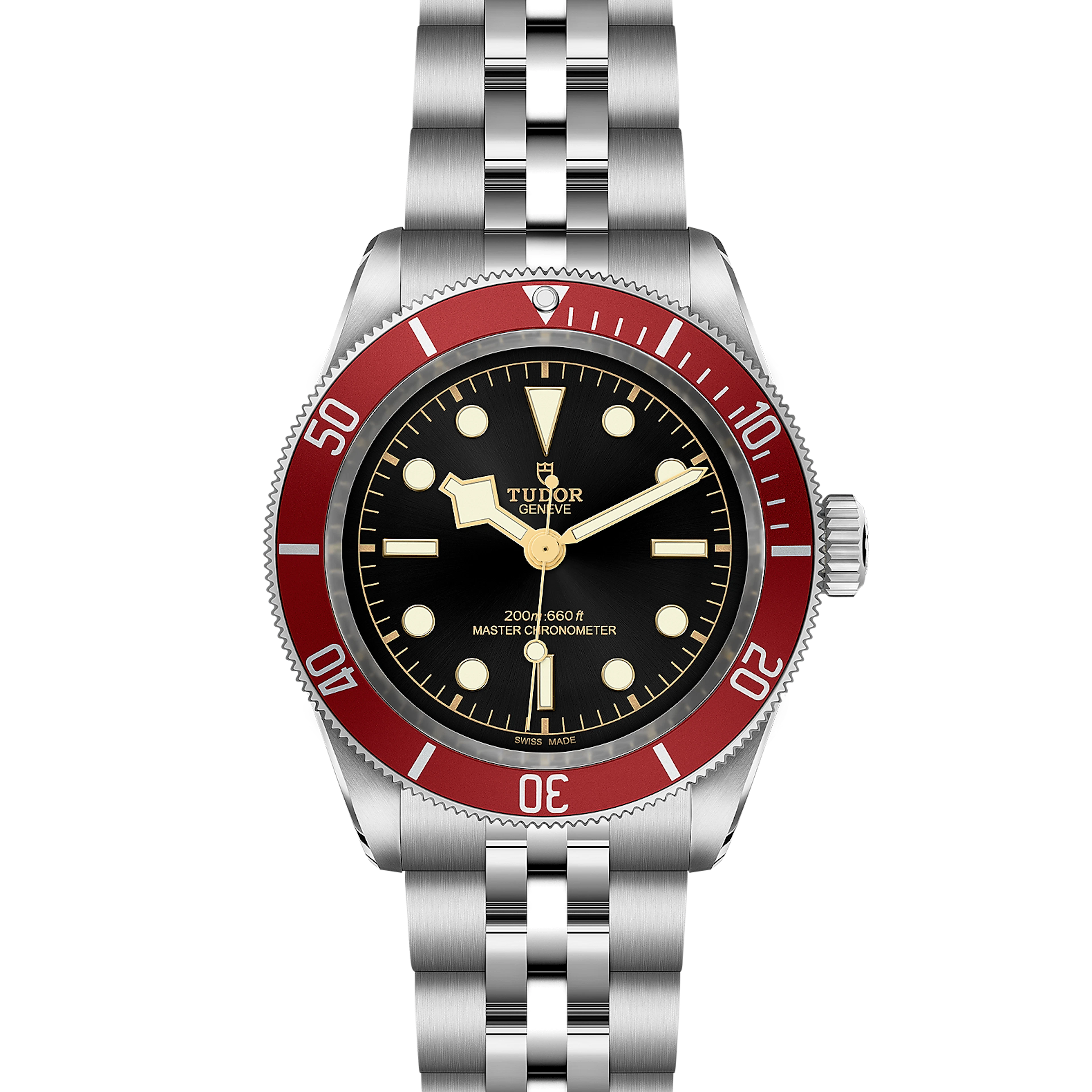 Tudor Black Bay