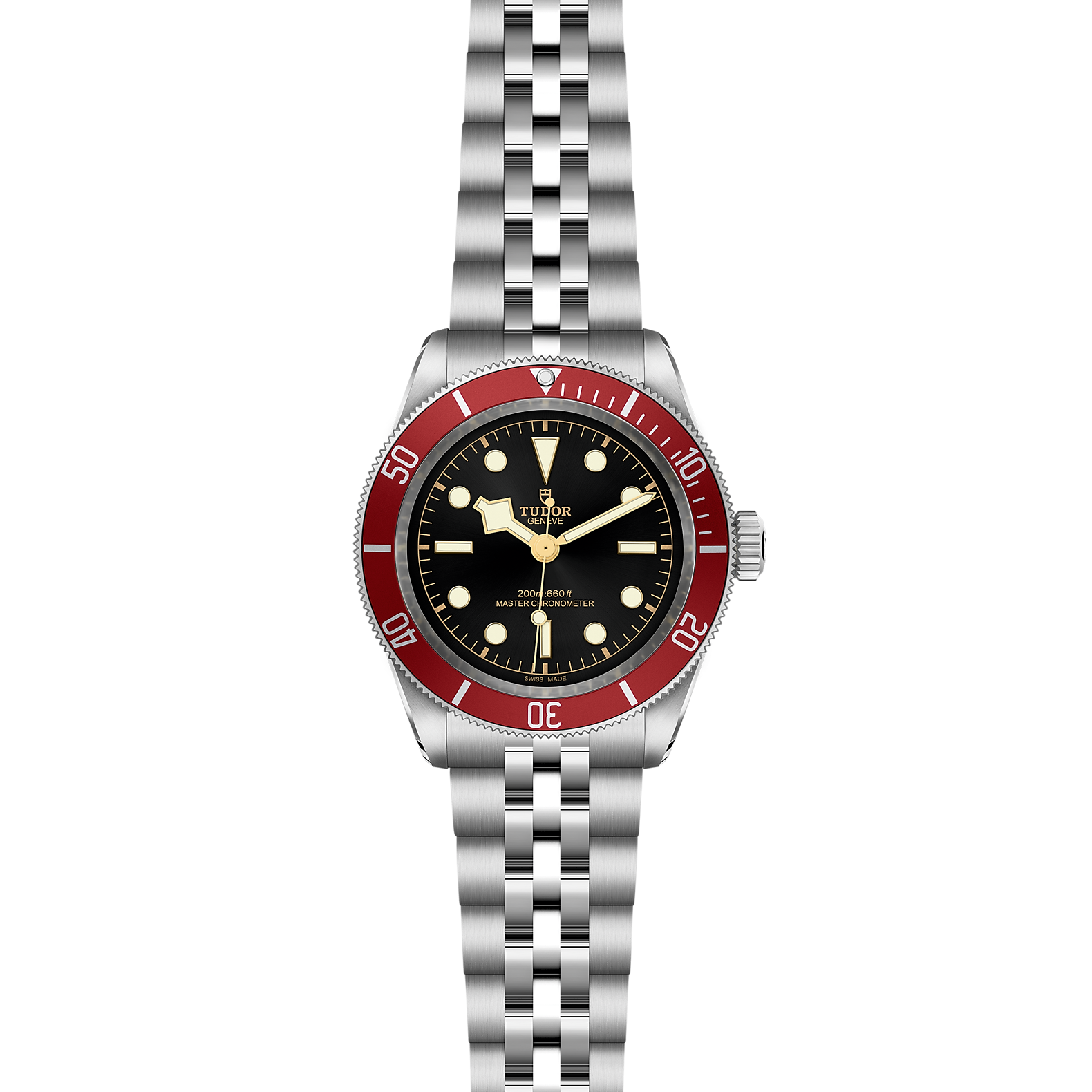 Tudor Black Bay