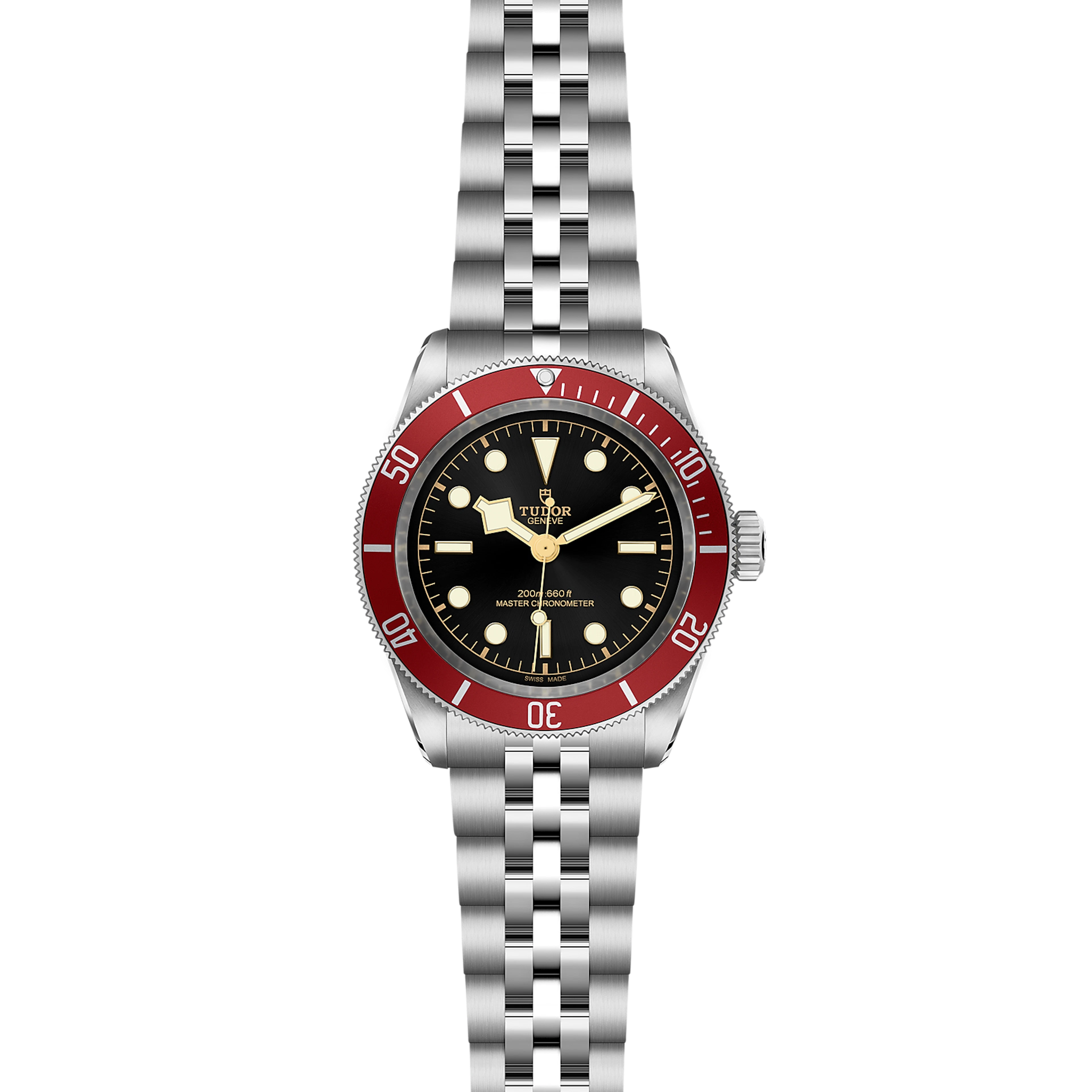 Tudor Black Bay