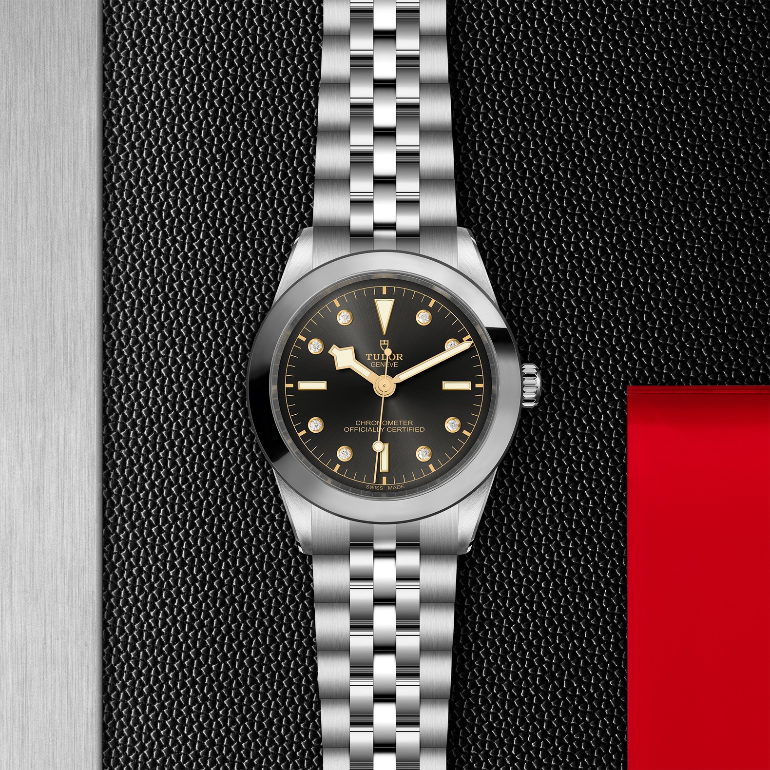 Tudor Black Bay
