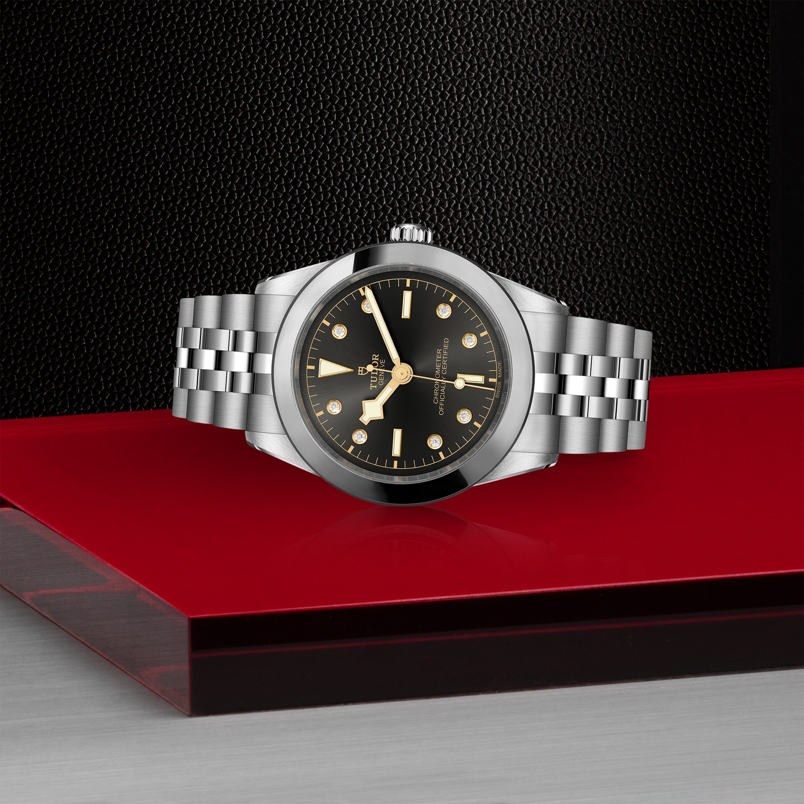 Tudor Black Bay