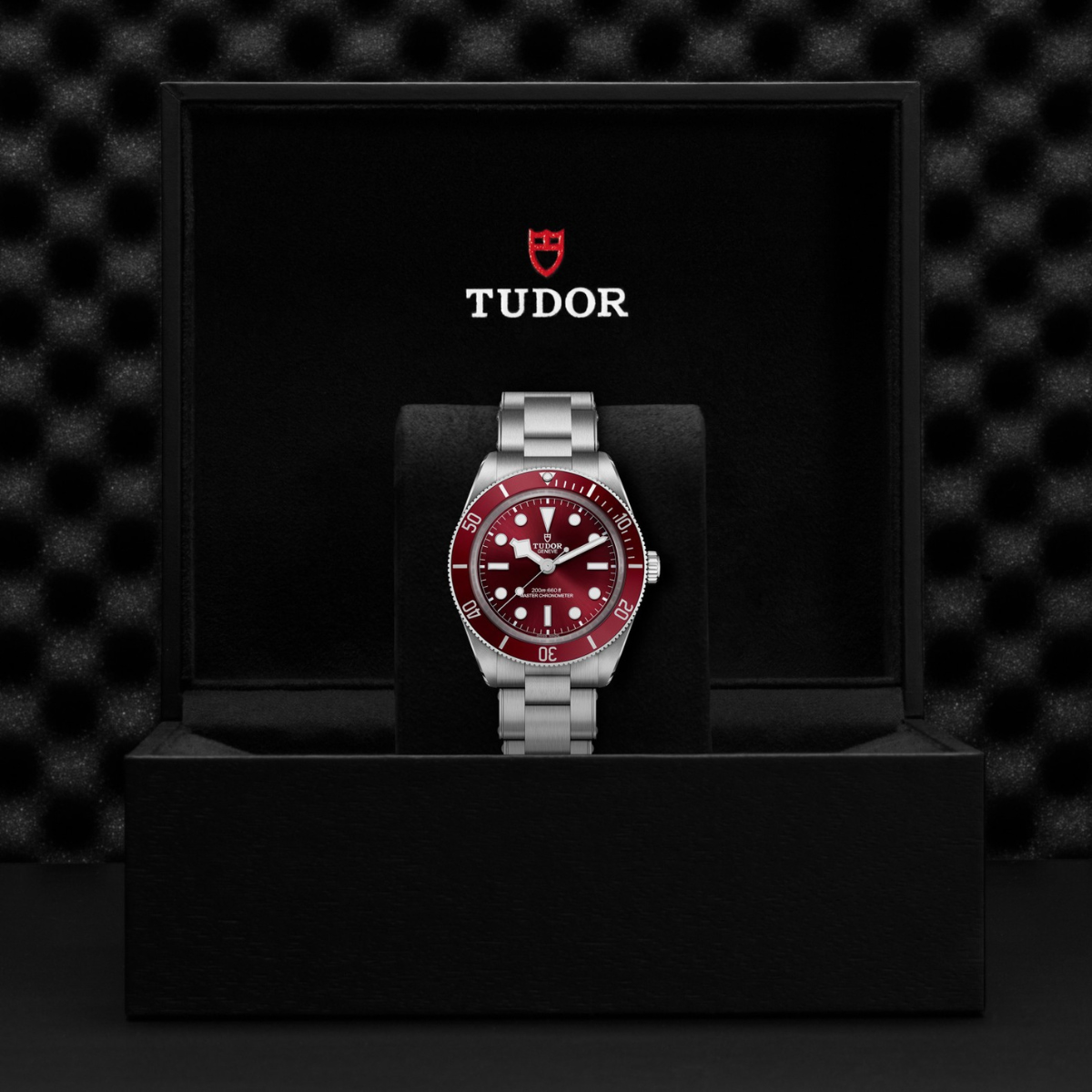 Tudor Black Bay Burgundy