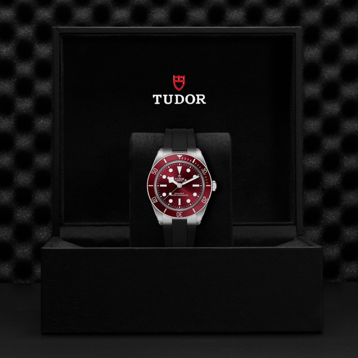Tudor Black Bay Burgundy