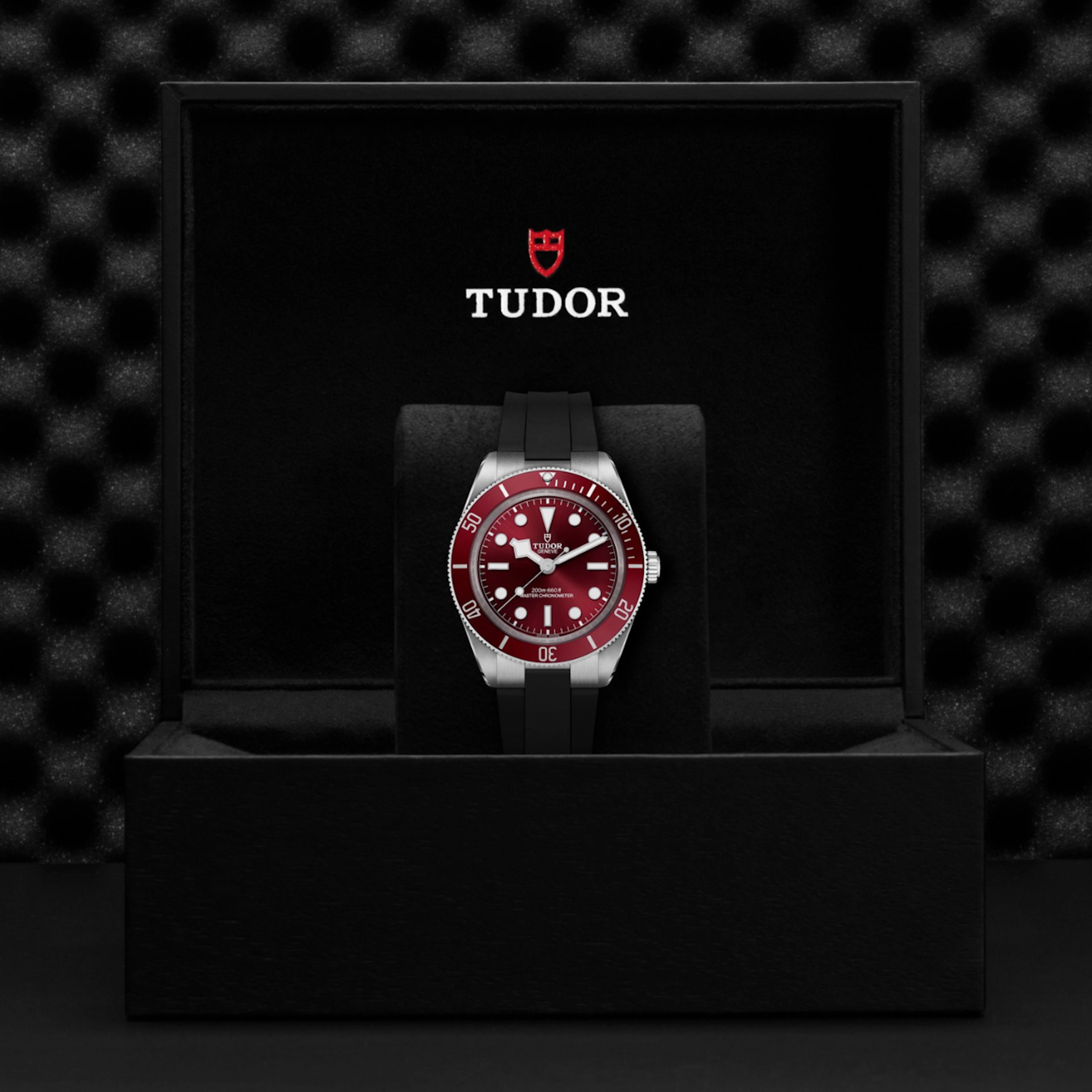 Tudor Black Bay Burgundy