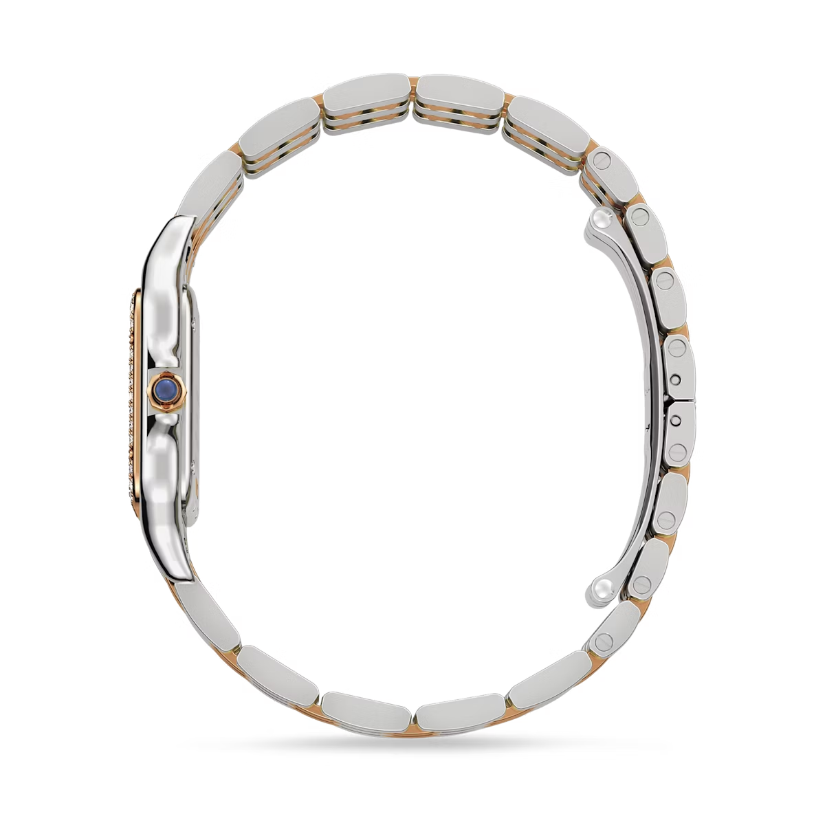 Cartier Panthere de Cartier