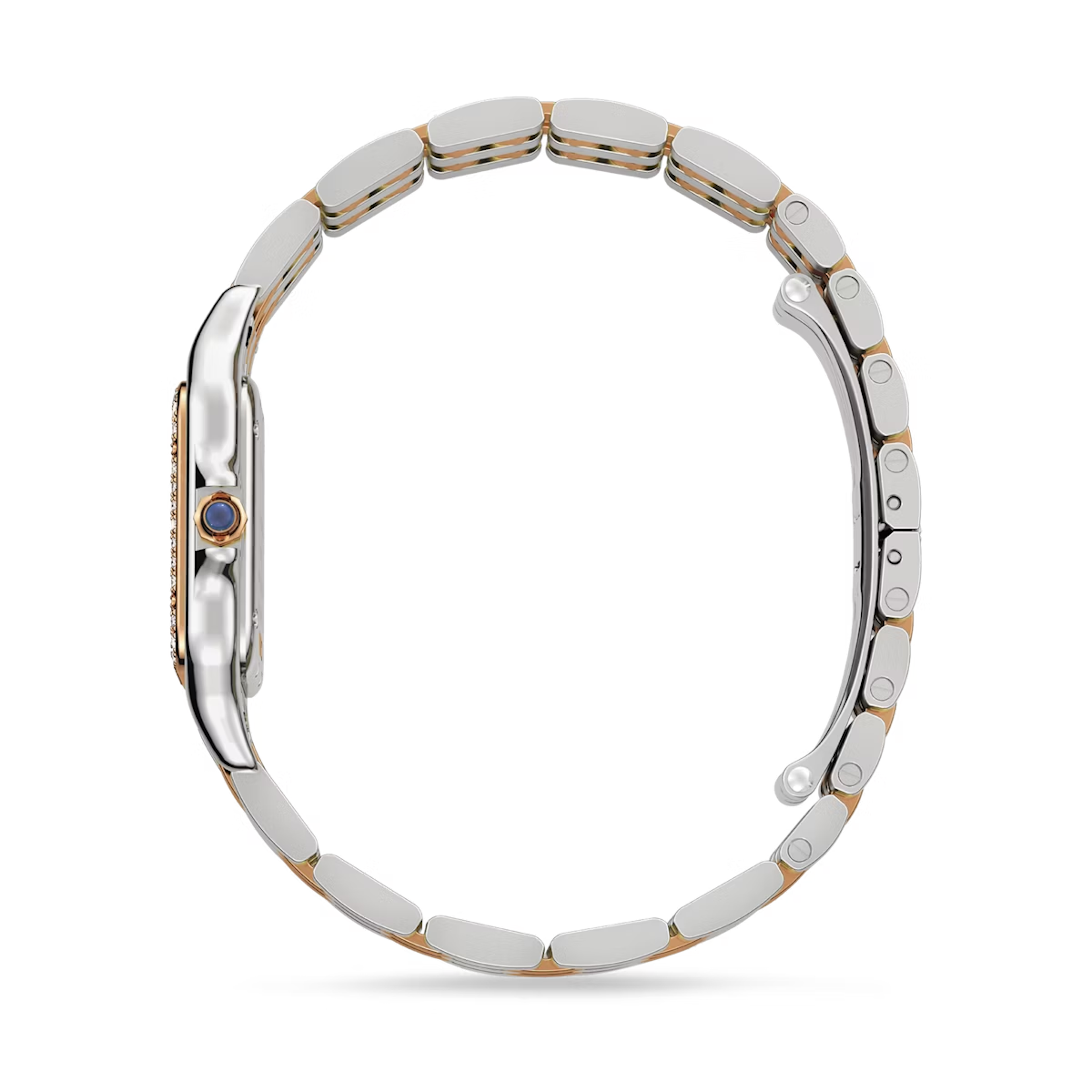 Cartier Panthere de Cartier