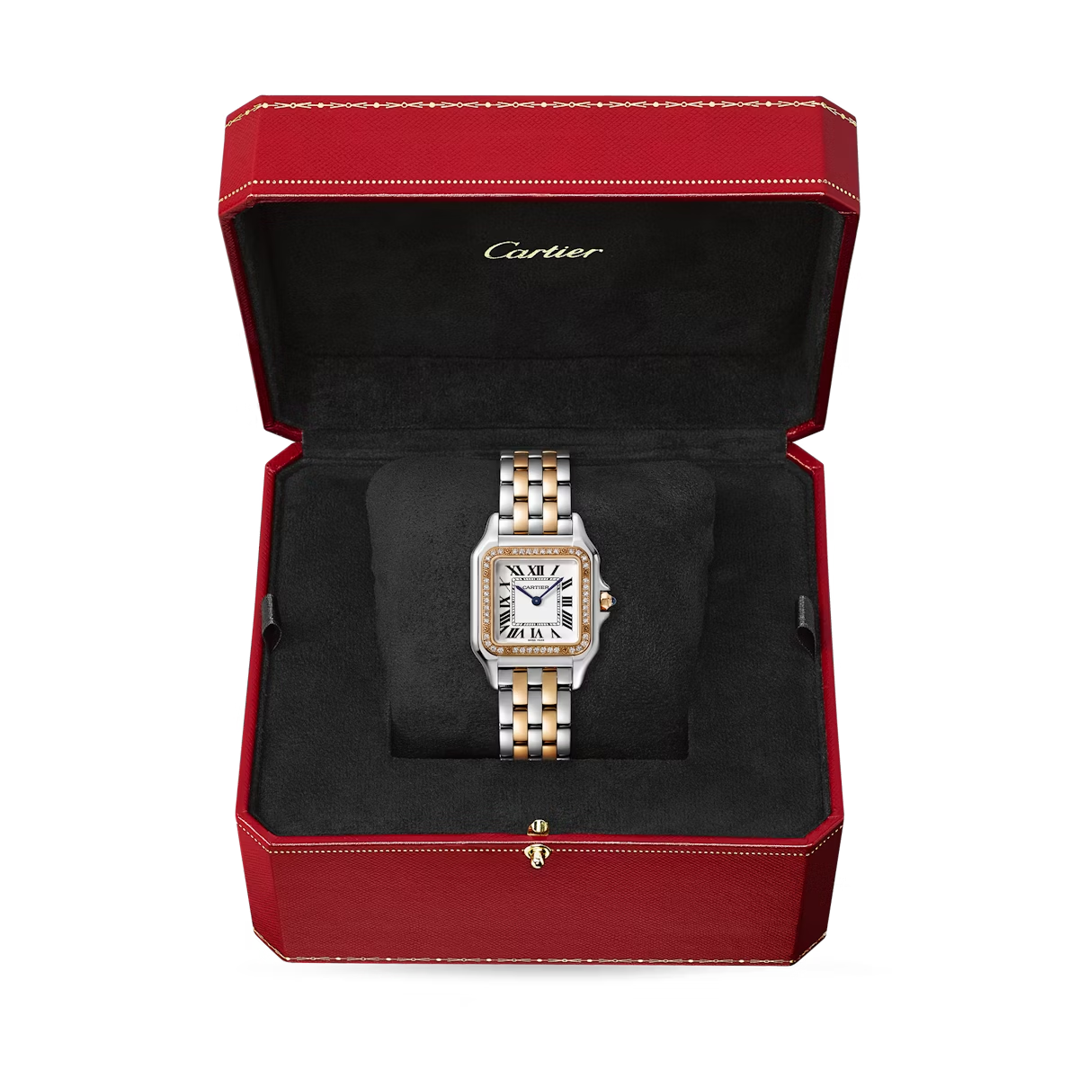 Cartier Panthere de Cartier