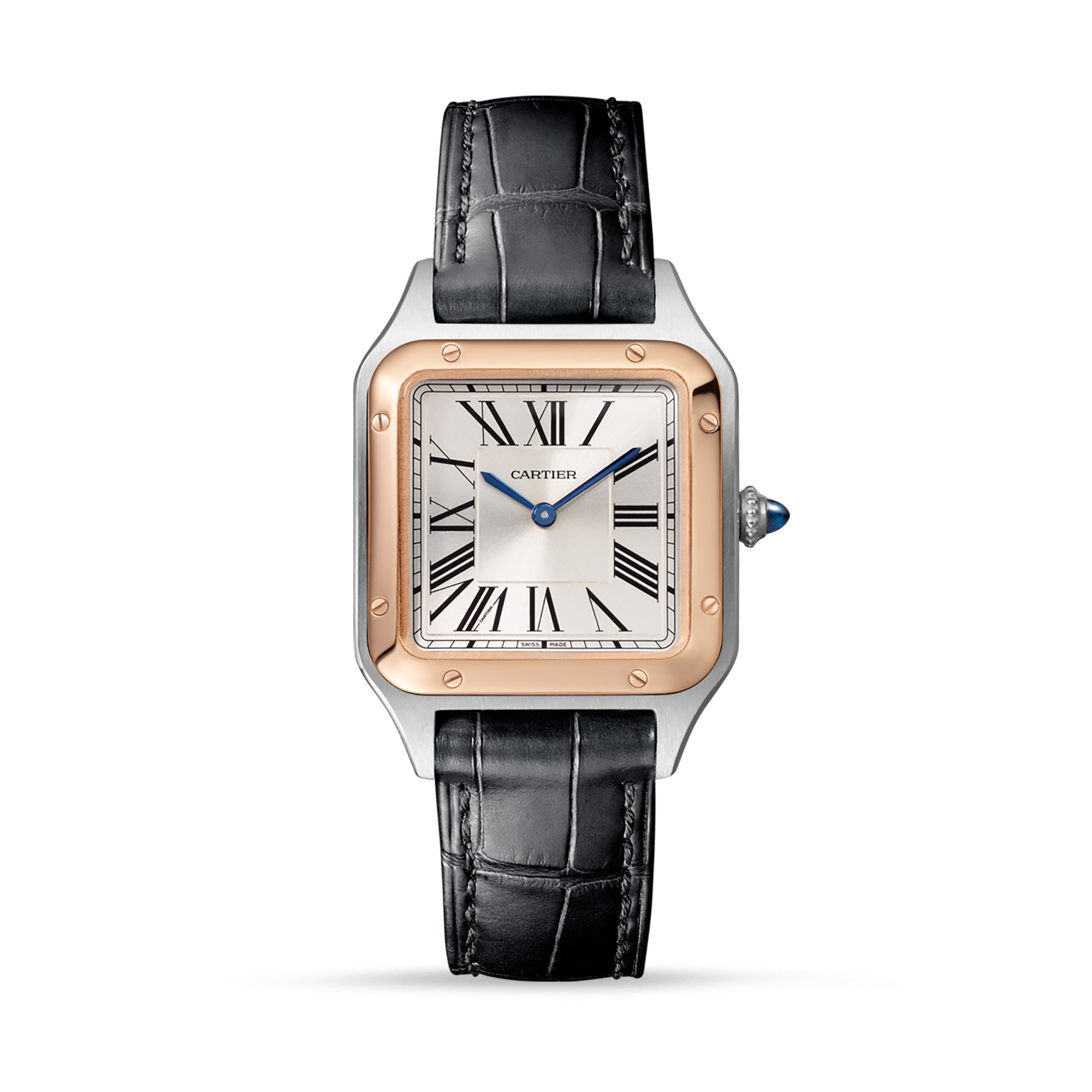 cartier santos 100 rubber strap price