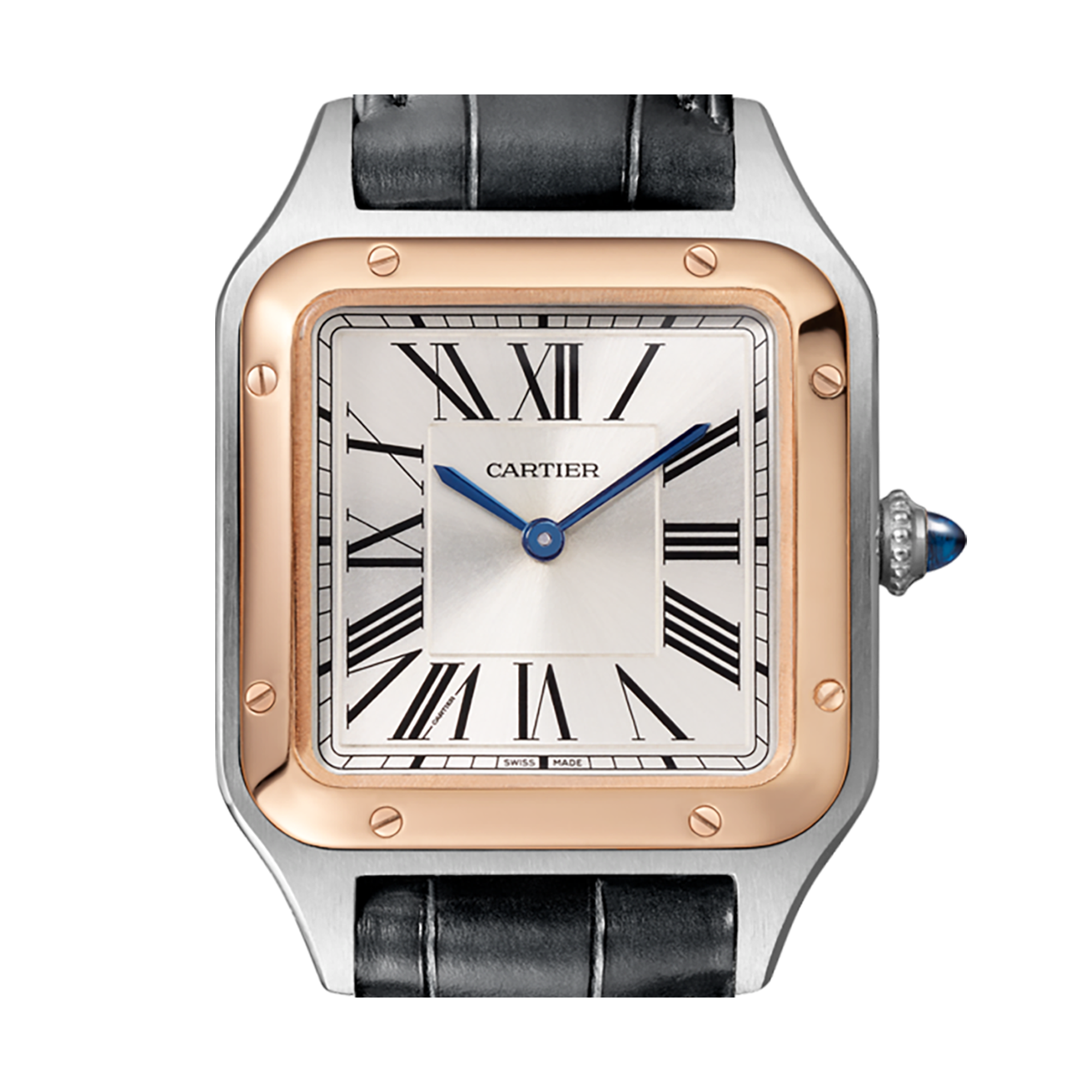 w2sa0012 cartier