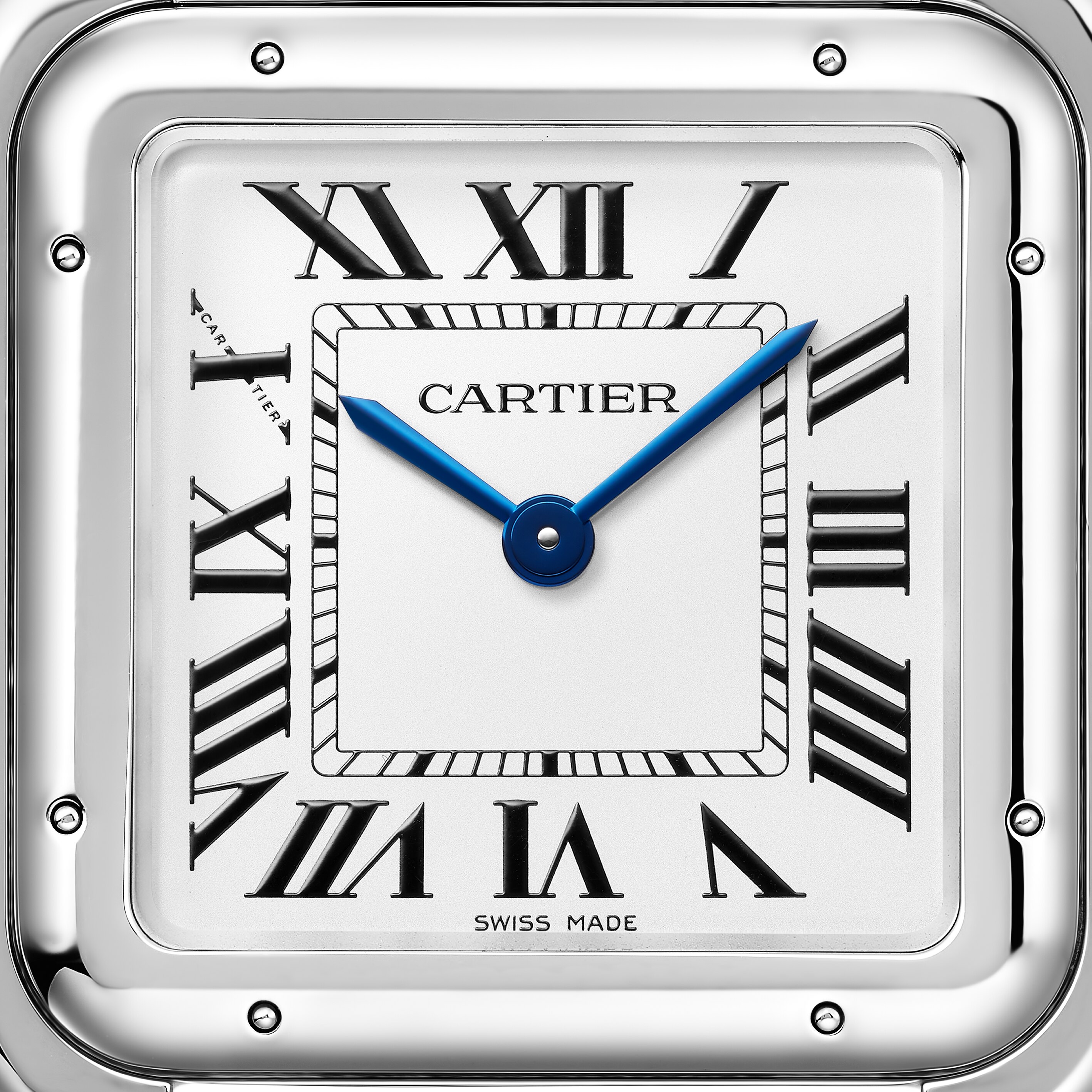 Cartier Panthere