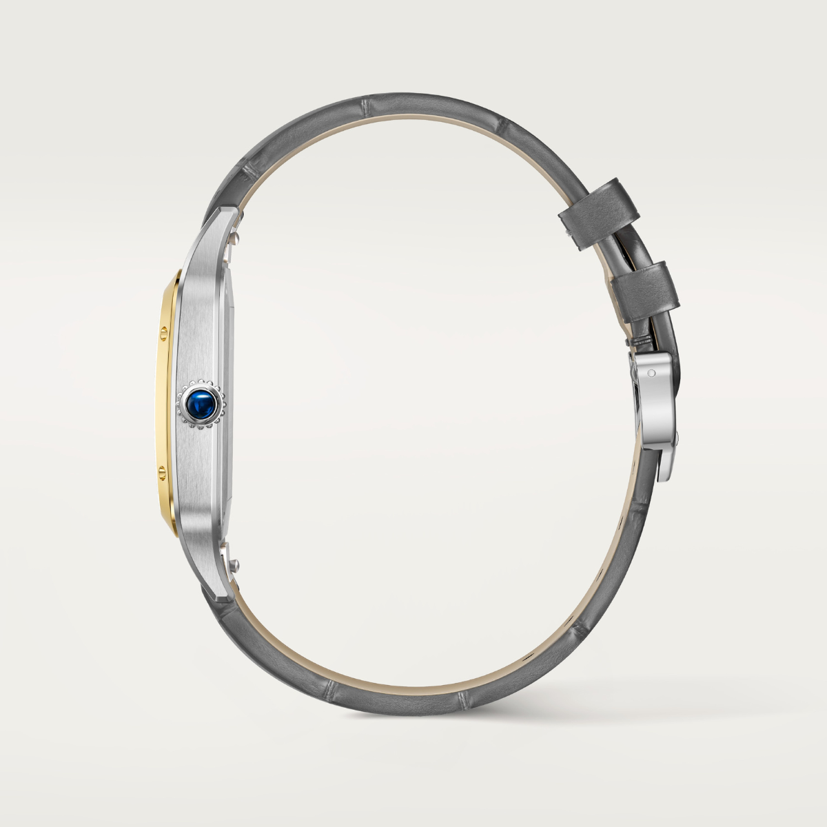 Cartier Santos Dumon