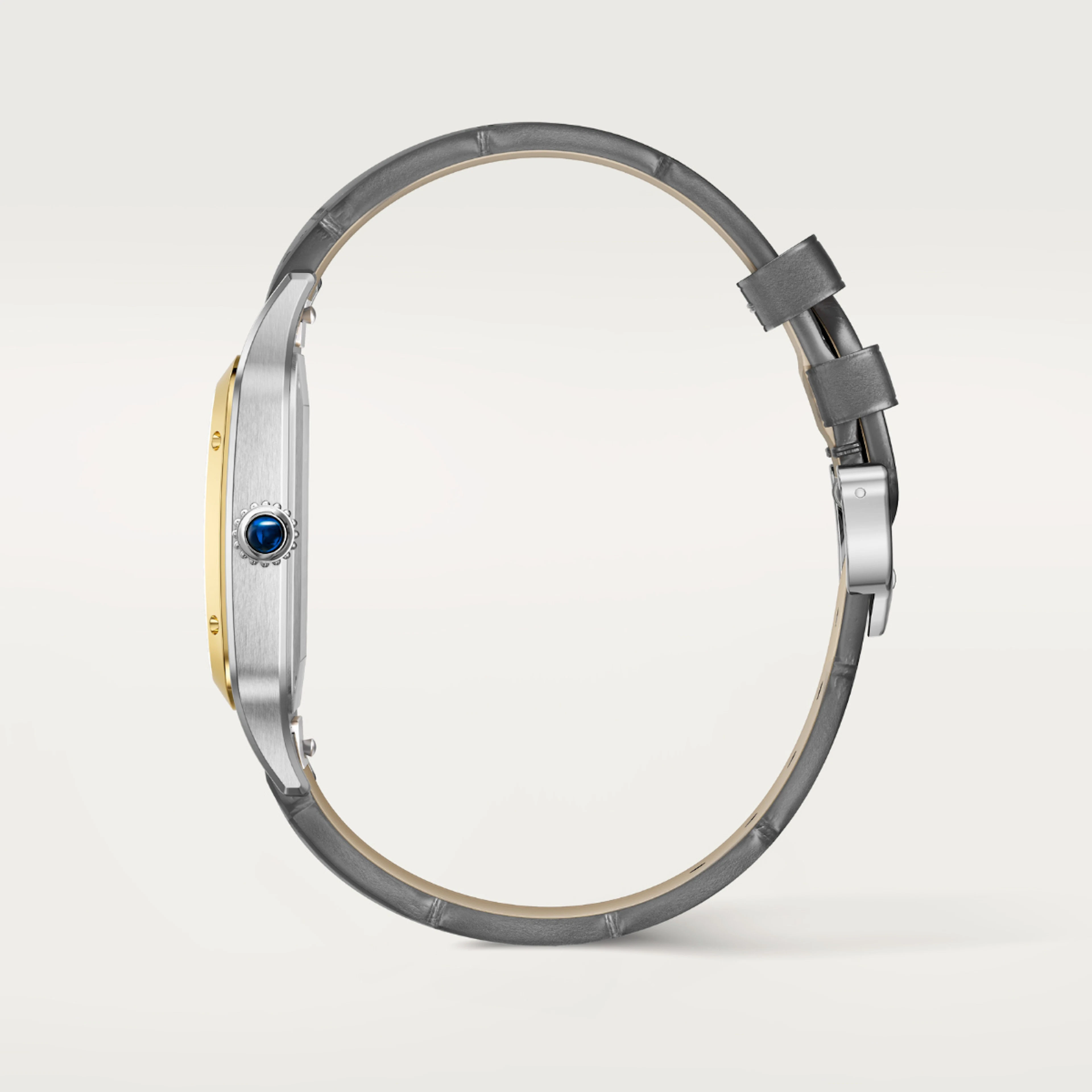 Cartier Santos Dumon