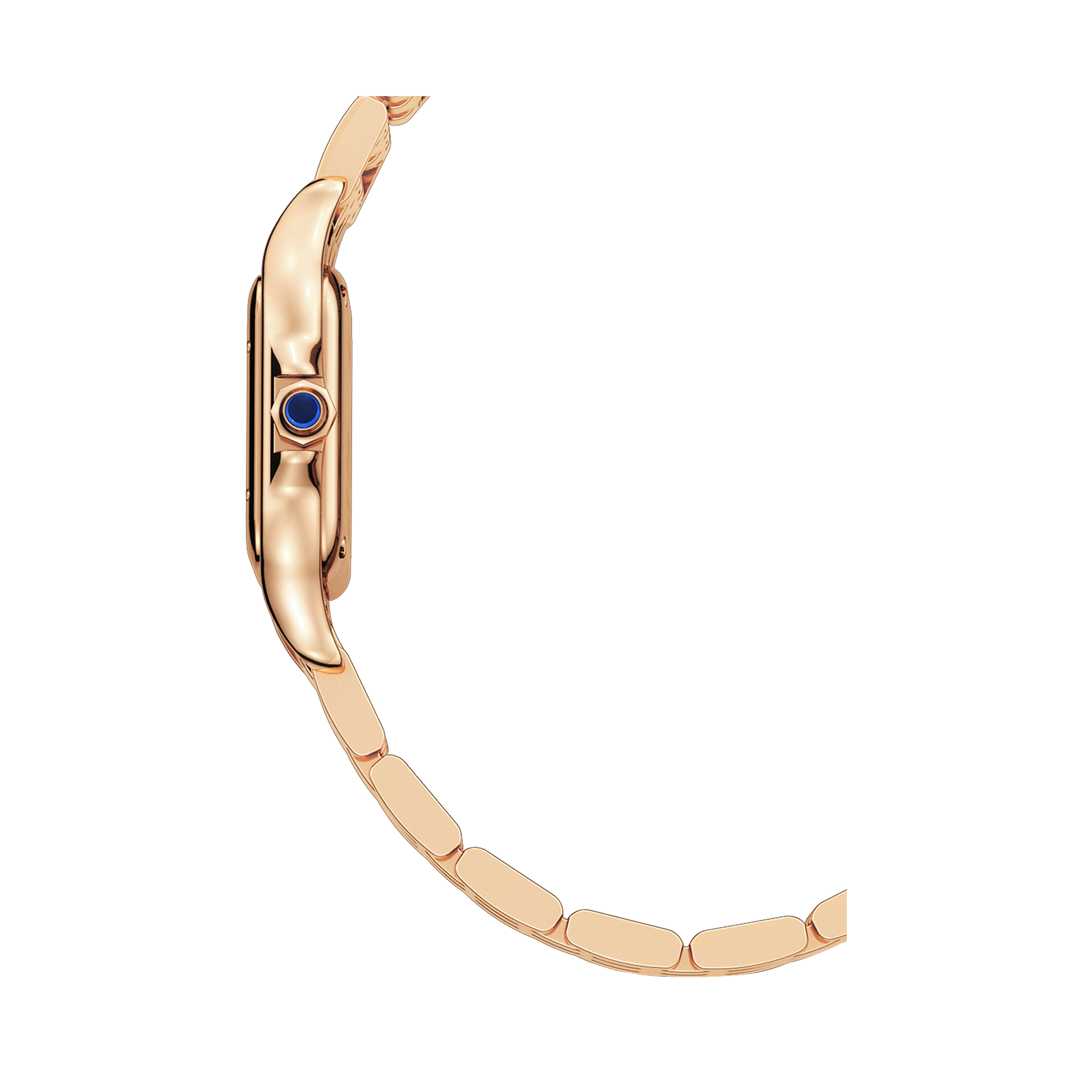 Cartier Panthere de Cartier