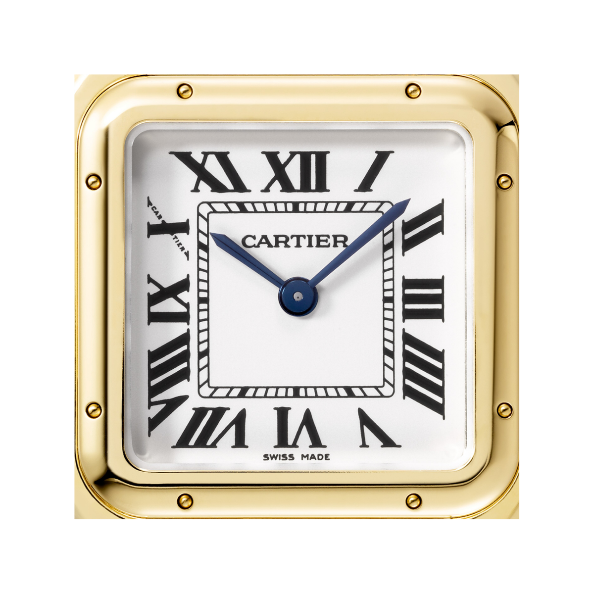 Cartier Panthere De Cartier